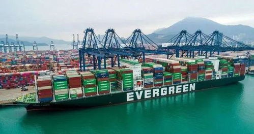 美團進軍公路貨運市場，快遞企業(yè)雙十一戰(zhàn)報亮眼